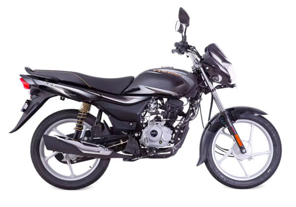 Bajaj Platina 100 Periodic Service