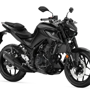 Yamaha MT-03 Periodic Service