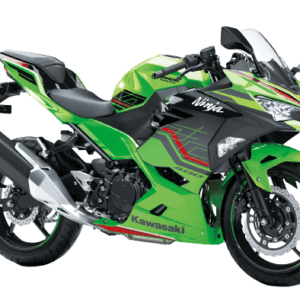 Kawasaki Ninja 300 Periodic Service